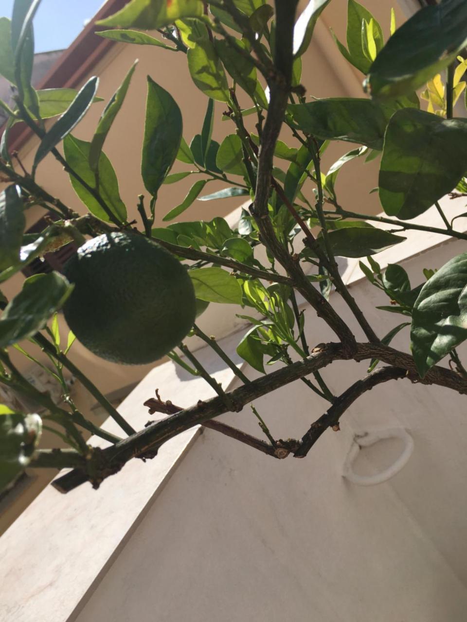 Cialoma B&B Palermo Zewnętrze zdjęcie